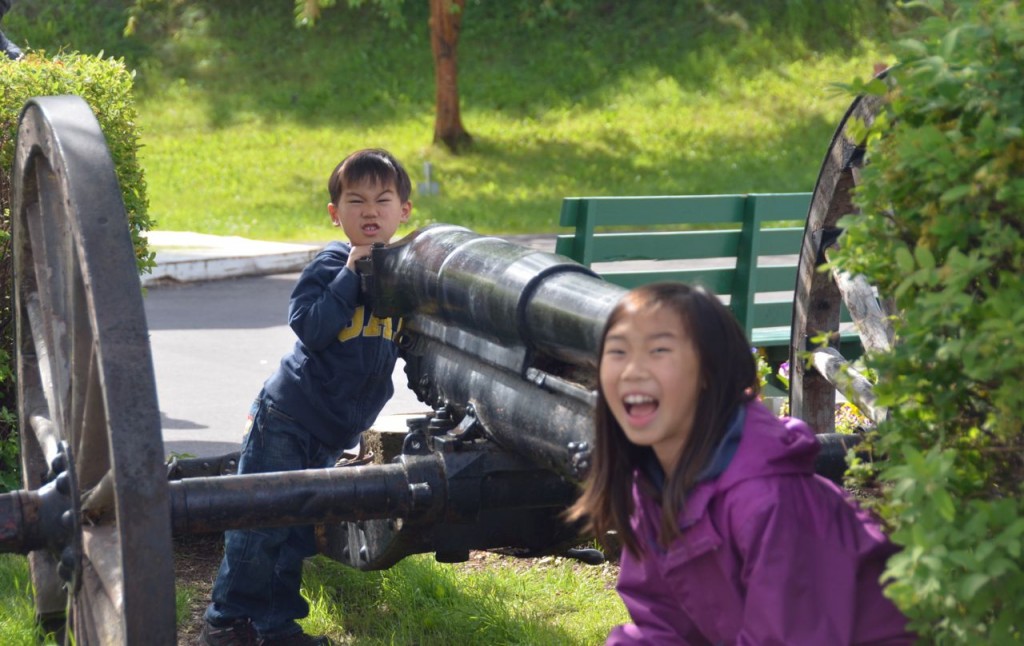 cannon