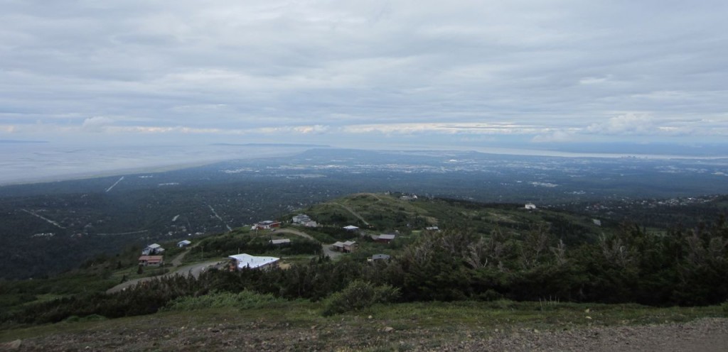 flattop2
