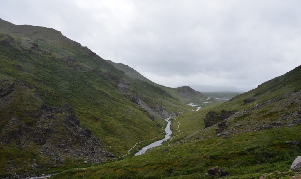 Savage River
