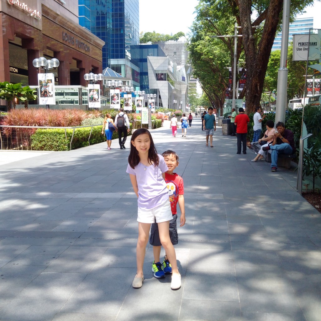 Along Orchard Road, in front of Takashimaya / Ngee Ann City