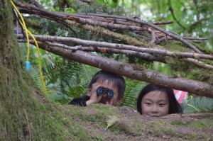 The fort built from branches