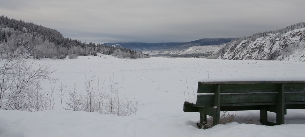 The frozen Yukon River