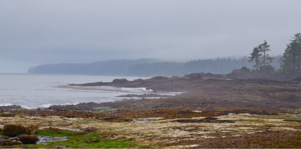 Botanical Beach