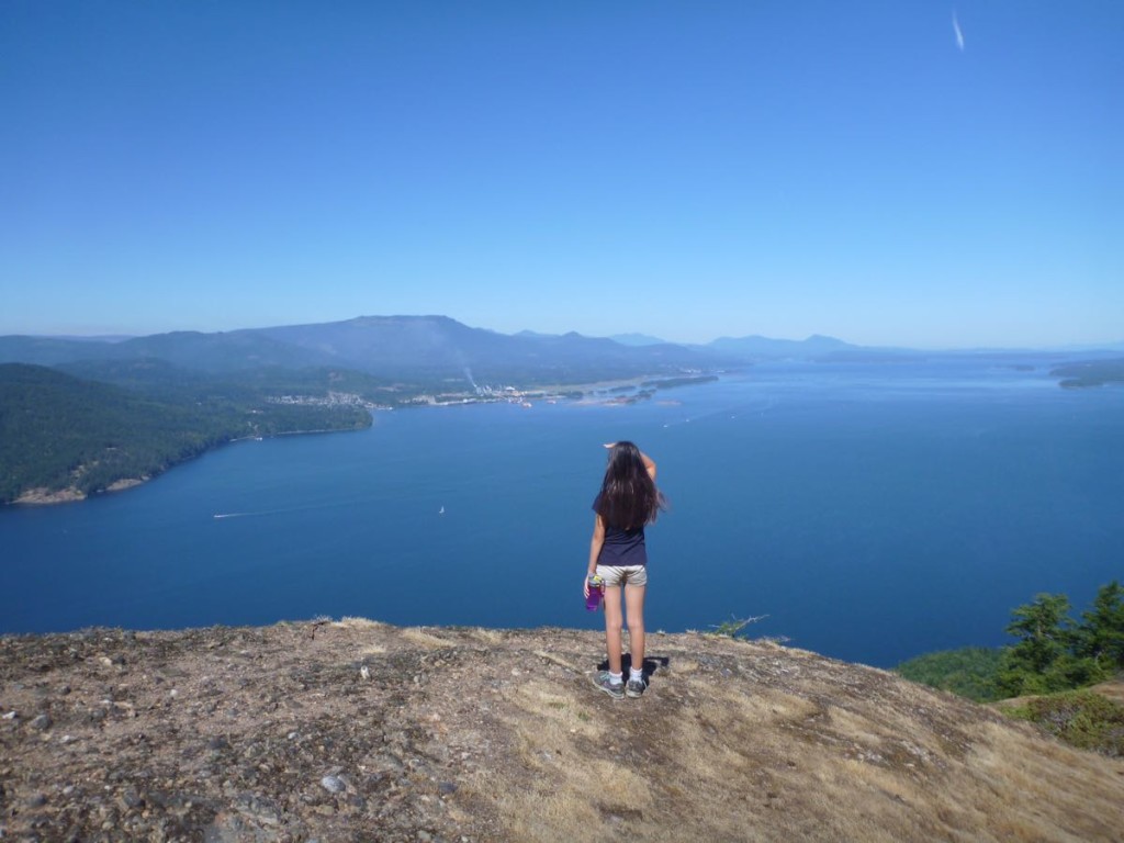 View from Mt Erskine