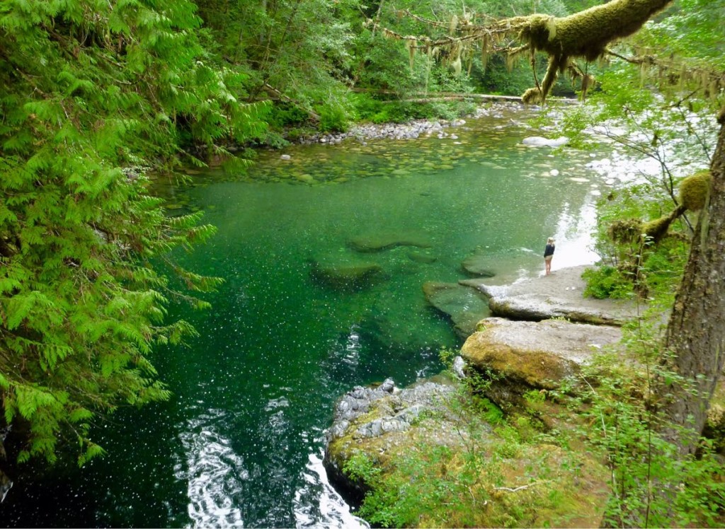 Too bad it's too cold for a dip