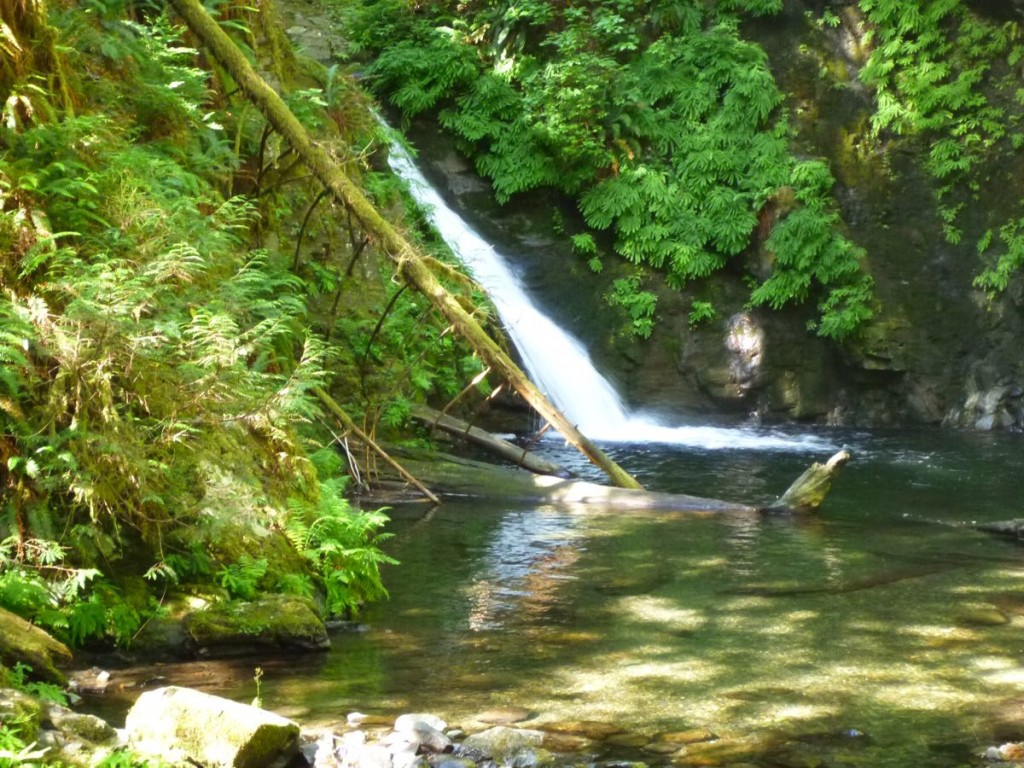 Goldstream Falls. 185 steps down from the trail