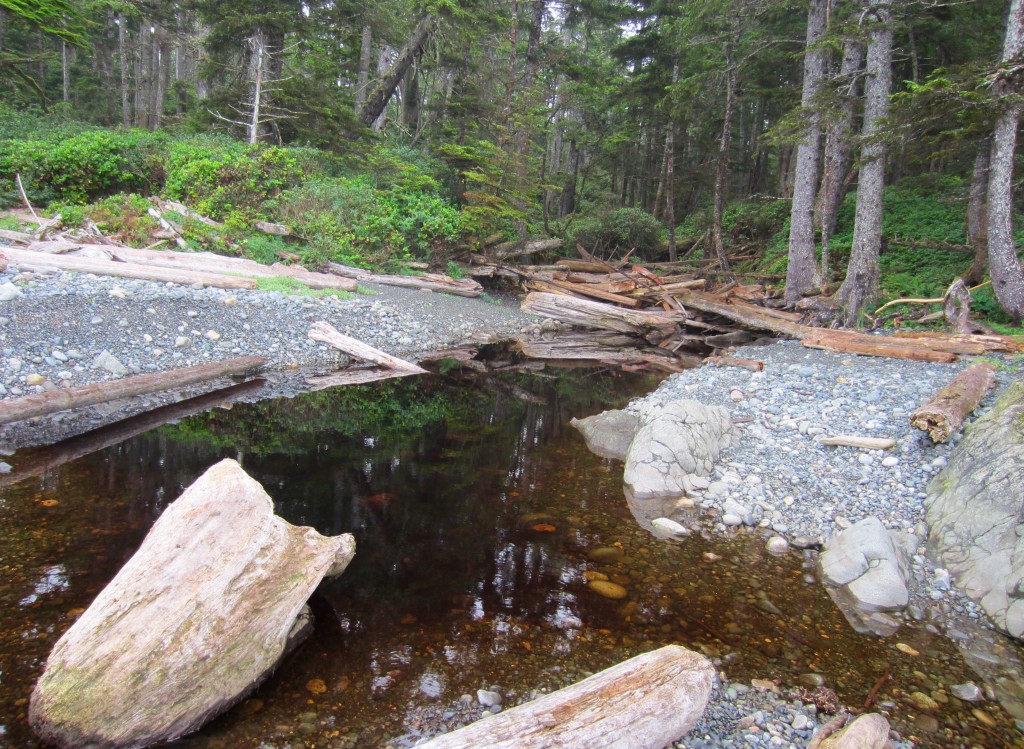 Water source at Nissen Bight. Yucky