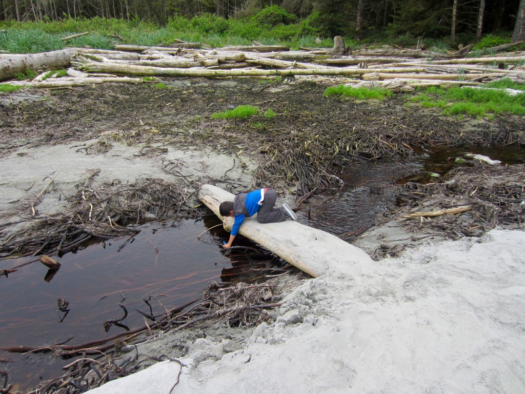 Getting water